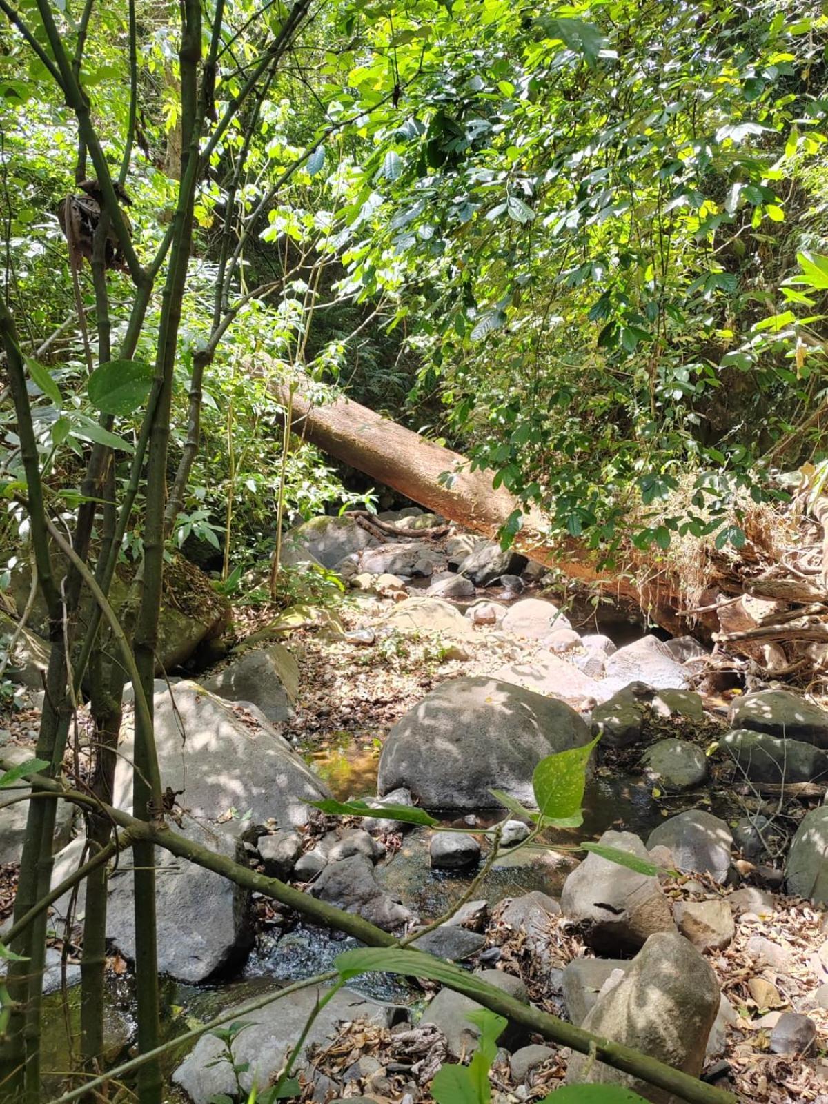 Appartamento El Paraiso Escondido San Juan  Esterno foto