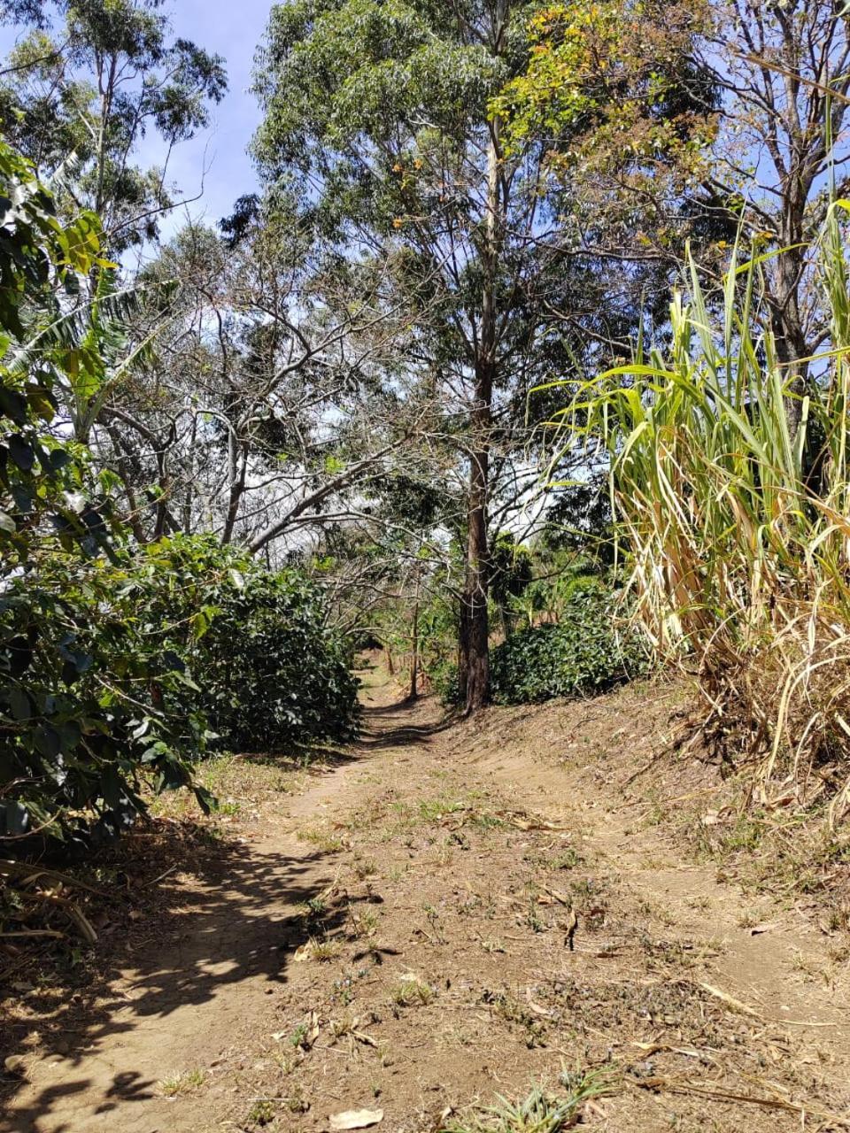 Appartamento El Paraiso Escondido San Juan  Esterno foto